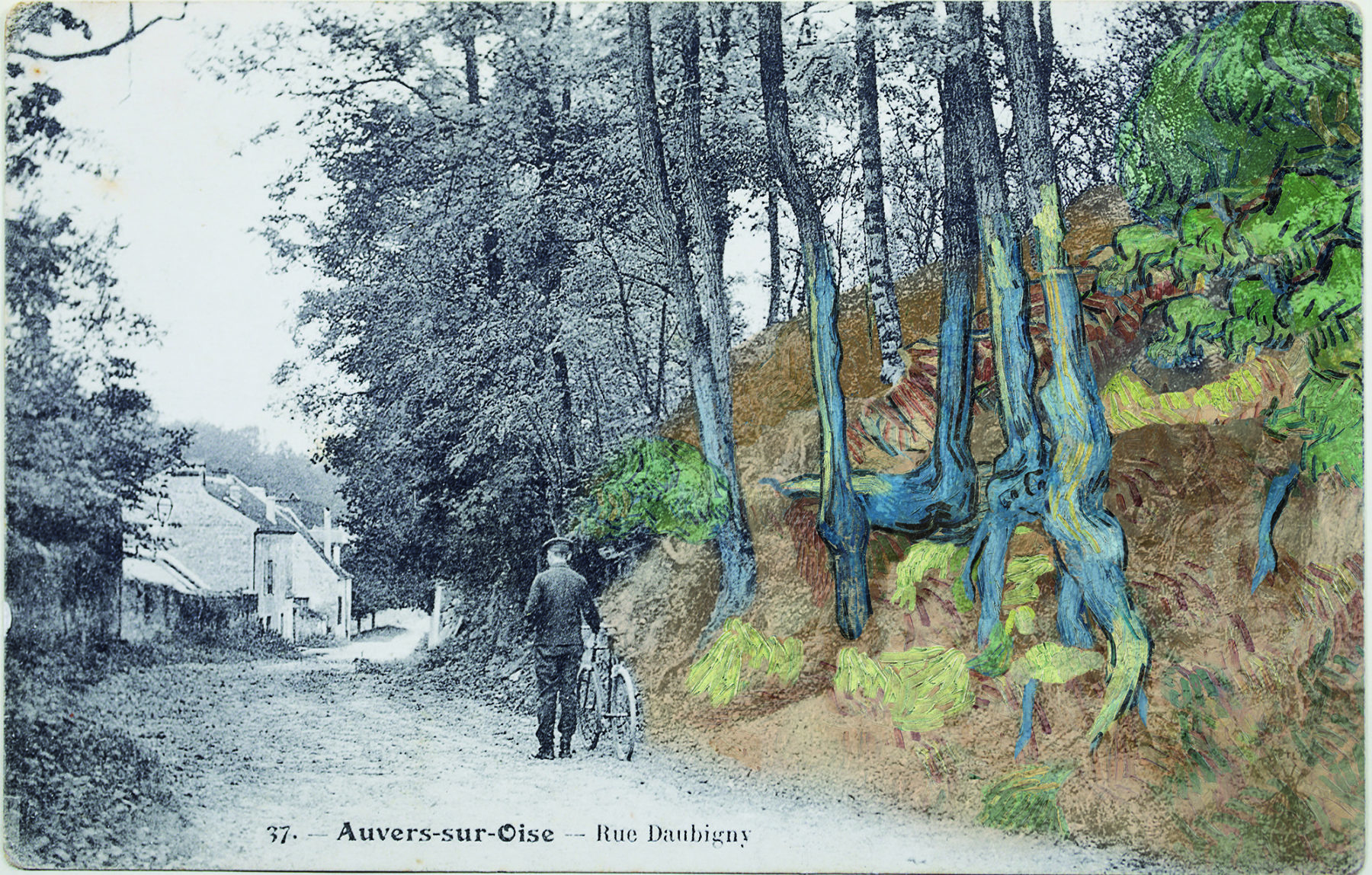 Colorisation S